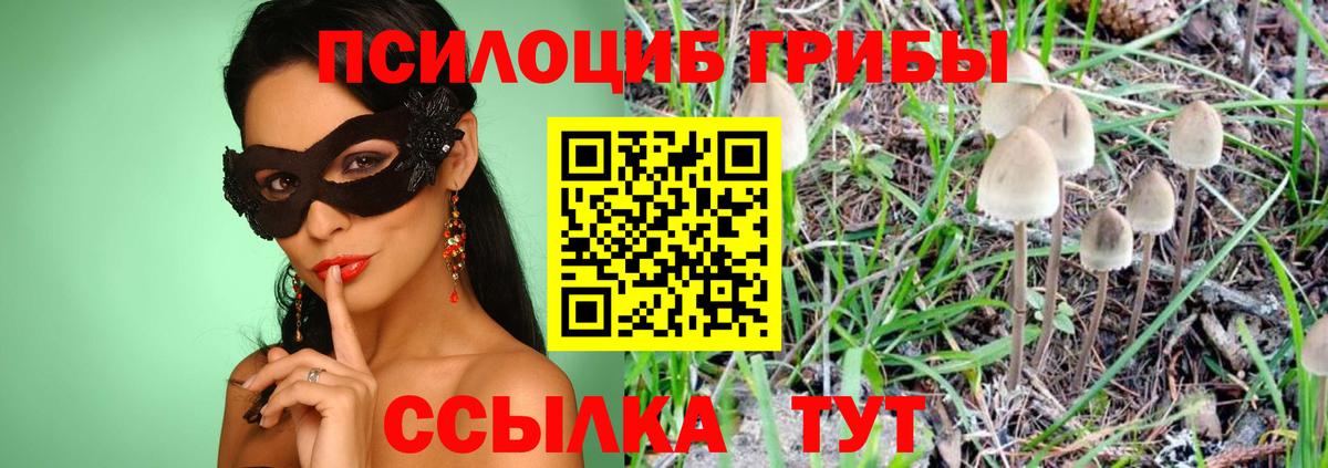 Галлюциногенные грибы Psilocybine cubensis  Галлюциногенные грибы Magic Shrooms  Вход с VPN  купить наркотик  Магадан 